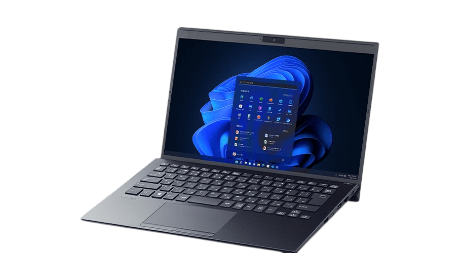 SONY VAiO VJPK21